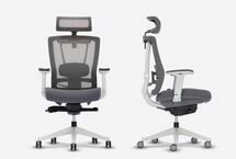 Online Designer Business/Office ErgoChair 2