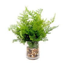 Online Designer Bedroom Fresh Fern in Vase