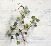 Online Designer Bathroom Faux Silver Dollar Eucalyptus Branch