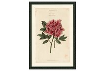 Online Designer Bedroom Pink Peony 43, 1810
