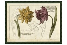 Online Designer Bedroom Tulip and Narcissus, 1750