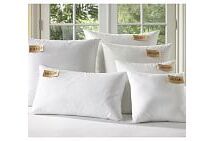 Online Designer Living Room Pillow Insert
