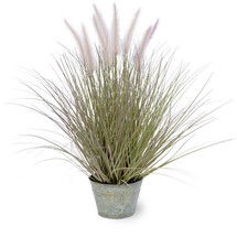 Online Designer Living Room Dogtail Grass in Round Metal Pot