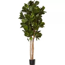 Online Designer Business/Office Leaf Floor Foliage Tree in Pot