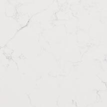 Online Designer Kitchen 4 in. x 4 in. Quartz Countertop Sample in Calacatta Botanica
