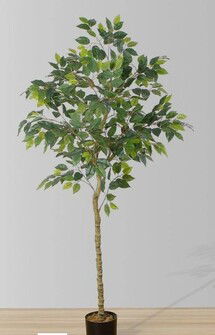 Online Designer Bedroom Figgi Artificial Ficus Tree Potted Plant - 6 1/2 Ft.
