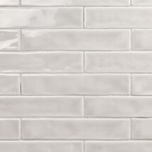 Online Designer Kitchen Seaport Hibiscus 2x10 Polished Ceramic Tile