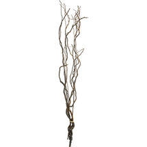 Online Designer Business/Office curly willow branches