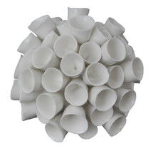 Online Designer Home/Small Office Coral Décor Sculpture 