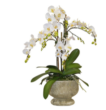 Online Designer Bedroom 34" Orchids Arrangement in Urn, Faux