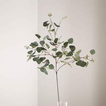 Online Designer Hallway/Entry Small Faux Silver Dollar Eucalyptus Stem