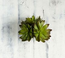 Online Designer Bedroom FAUX GREEN THORNED SUCCULENT - SET OF 3