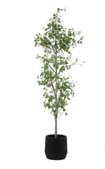 Online Designer Living Room Boreal Potted Birch Tree