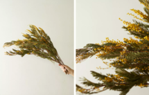 Online Designer Combined Living/Dining Centerpiece Brench Option