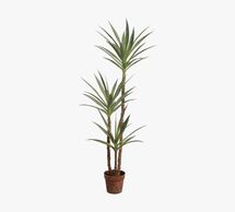 Online Designer Hallway/Entry Faux Yucca Tree In Pot