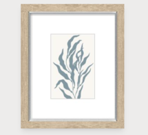 Online Designer Bathroom Pacific Kelp I