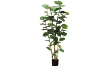 Online Designer Living Room 60" Sea Grape Plant, Faux