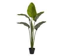 Online Designer Combined Living/Dining FAUX POTTED TRAVELLERS PALM TREE