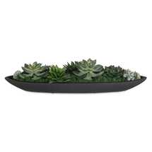 Online Designer Living Room Verde Succulent Centerpiece
