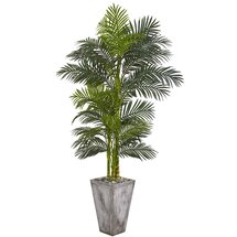 Online Designer Bedroom Artificial Cane Tree in Planter