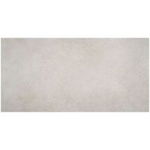 Online Designer Bathroom Bronx Argent Silver 24x48 Matte Porcelain Tile