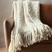 Online Designer Living Room overlook throw