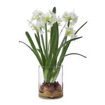 Online Designer Bedroom Lacey Daffodil Accent