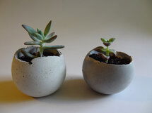 Online Designer Bedroom Small Concrete Bowl Planter.