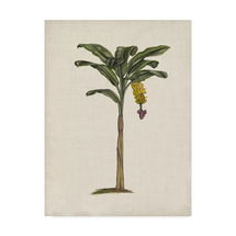 Online Designer Other 'British Palms III' Print on Wrapped Canvas