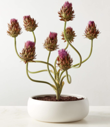 Online Designer Kitchen Faux Potted Thistle Plant in White Ceramic Pot 26"