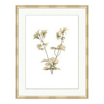 Online Designer Bathroom Fragile Blossoms Art-Print VI