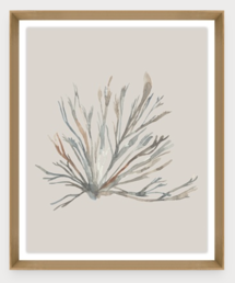 Online Designer Combined Living/Dining Water Colored Seaweed XI