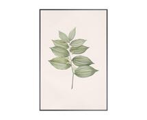 Online Designer Combined Living/Dining Solomon's Seal Art Print