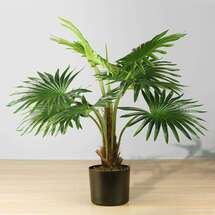 Online Designer Business/Office Tita Artificial Fan Palm Potted Plant 26''