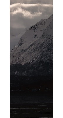 Online Designer Other Enchanted Alpines III 52MW0895-FC