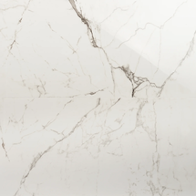 Online Designer Kitchen Saroshi 24" x 47" Polished Marble Look Porcelain Floor and Wall Tile (15.5 Sq. Ft. / Case)