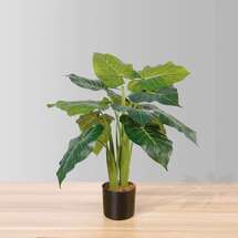 Online Designer Business/Office Dora Artificial Alocasia Potted Plant 28"