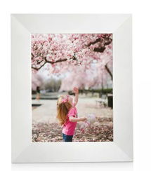 Online Designer Combined Living/Dining Sawyer by Aura Digital Picture Frame