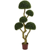 Online Designer Other 5' Five Head Boxwood Topiary