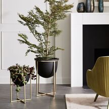 Online Designer Bedroom Eden Cross Base Standing Planter, Wide, 13.2"D. x 10"H, Black/Brass