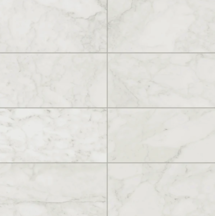 Online Designer Bathroom Aniston 12x24 Matte Porcelain Tile in Carrara Bianco