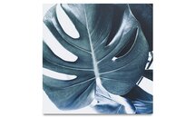 Online Designer Combined Living/Dining Botanic metal print, Monstrea