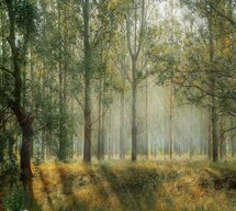 Online Designer Business/Office Nature Forest Wall Mural Wallpaper 