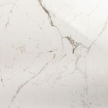 Online Designer Bathroom DreamStone Statuario Venato 24x48 Polished Porcelain Tile
