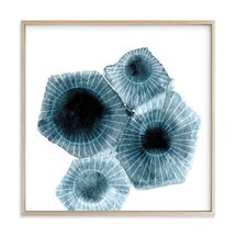Online Designer Bedroom fossilized rock LIMITED EDITION ART  by Frooted Design