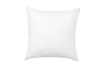 Online Designer Living Room Pillow Inserts