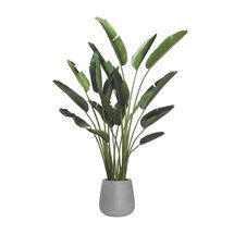 Online Designer Living Room Cape Town Faux Bird Of Paradise Tree in Fiberstone Planter
