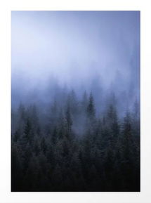 Online Designer Combined Living/Dining Foggy Forest Art Print