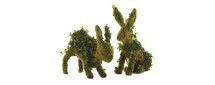 Online Designer Living Room Live Ivy Bunny topiaries