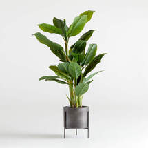 Online Designer Other Faux Banana Tree